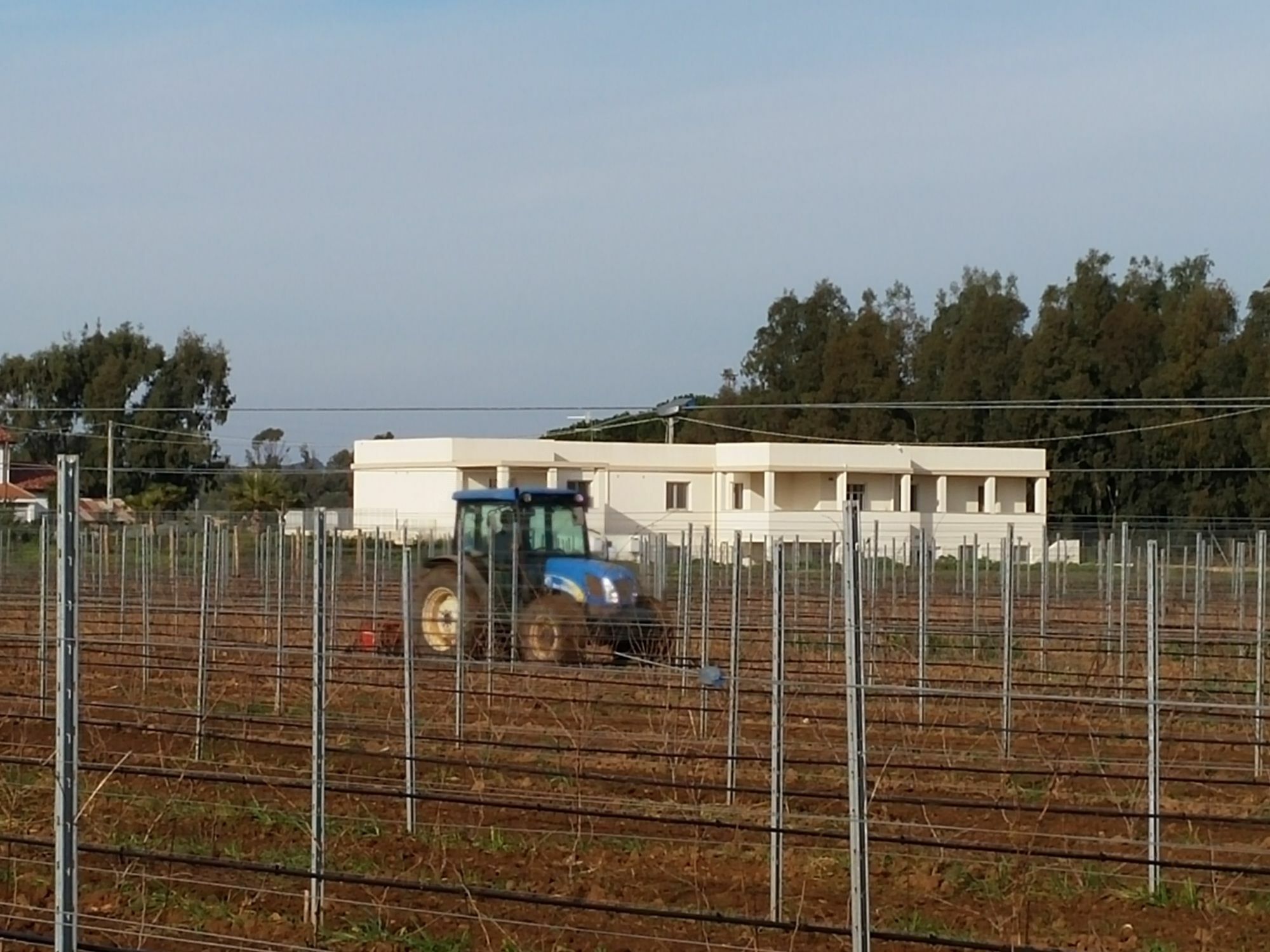 Maris Villa Alghero Kültér fotó